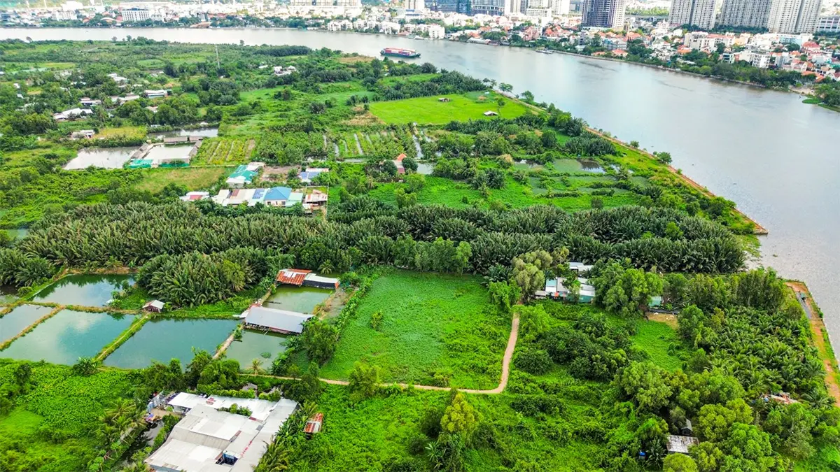 Tương lai: Sự thức tỉnh của "Người khổng lồ ngủ quên"